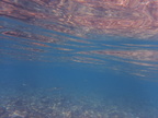 P1280259.jpg